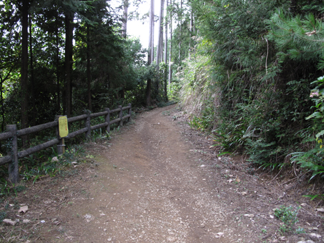20161014hike (59)